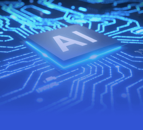 全面解析：球速体育官网